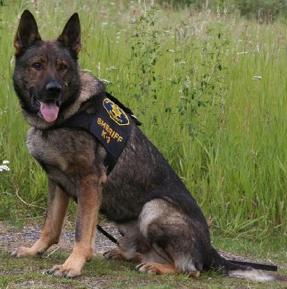 K9 Unit_1REV_thumb.JPG