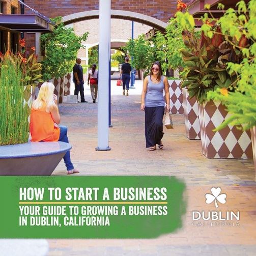 cover of How to Start A Business Guide