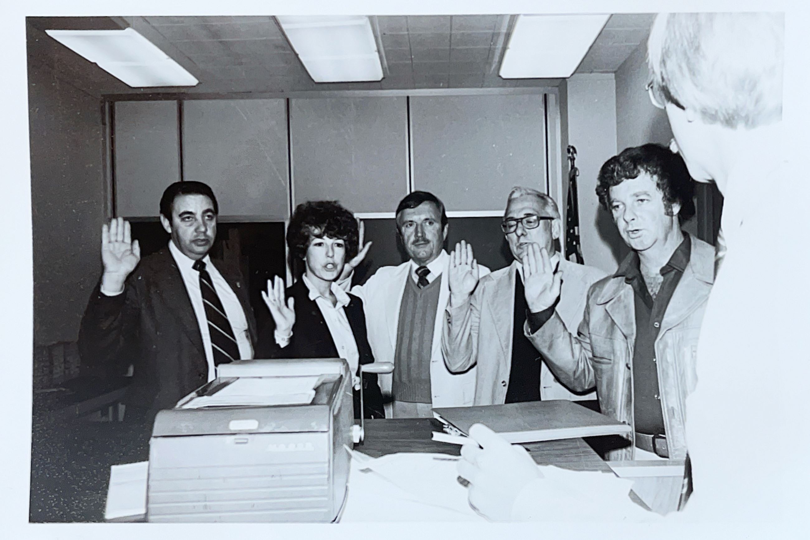 First City Council for the City of Dublin, 1982