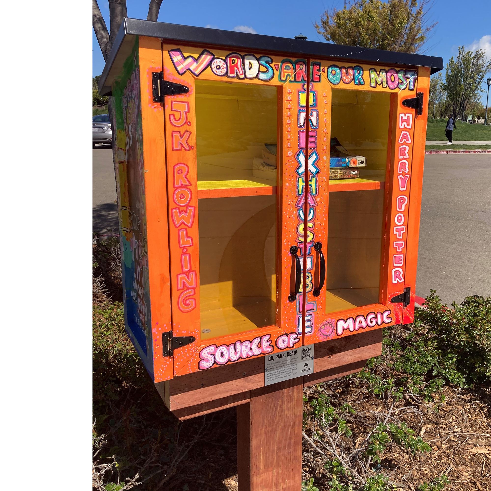 Brightly Painted Little Library Box