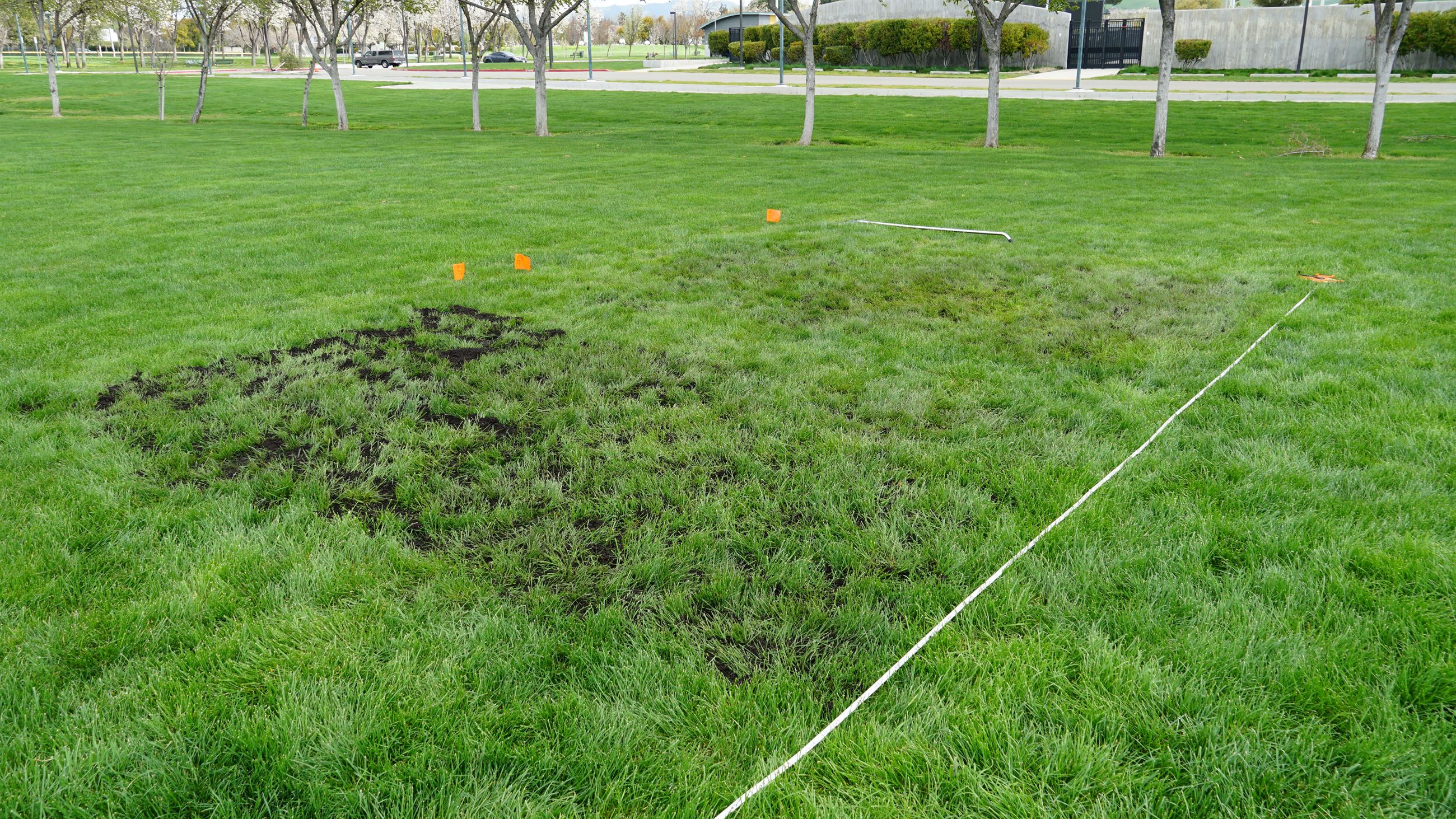 Compost on Emerald Glen Park turf field marked with flags
