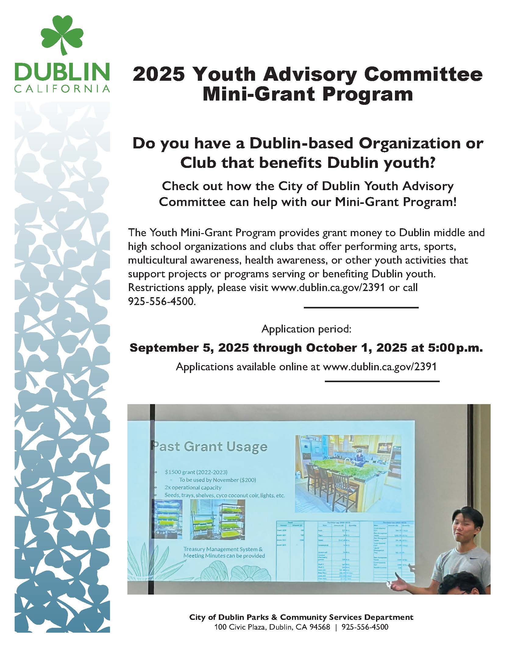 2025 Youth Advisory Committee Mini-Grant Program Flyer