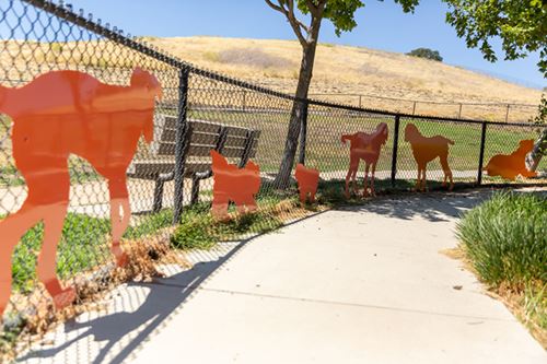 Dogs of Dublin art Opens in new window