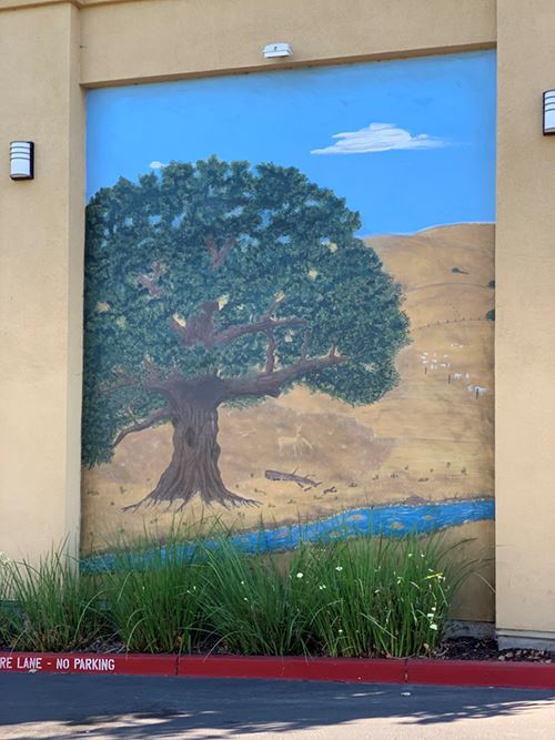 home Opens in new window