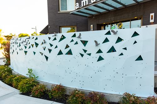 warbler migration Opens in new window