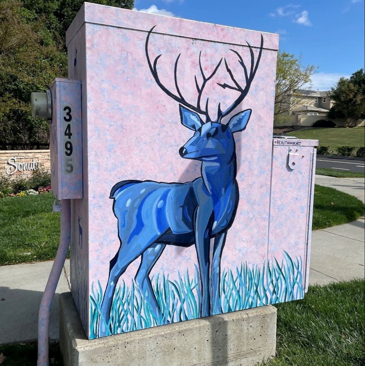 Dublin Deer Project, by Beau Thomas. 1