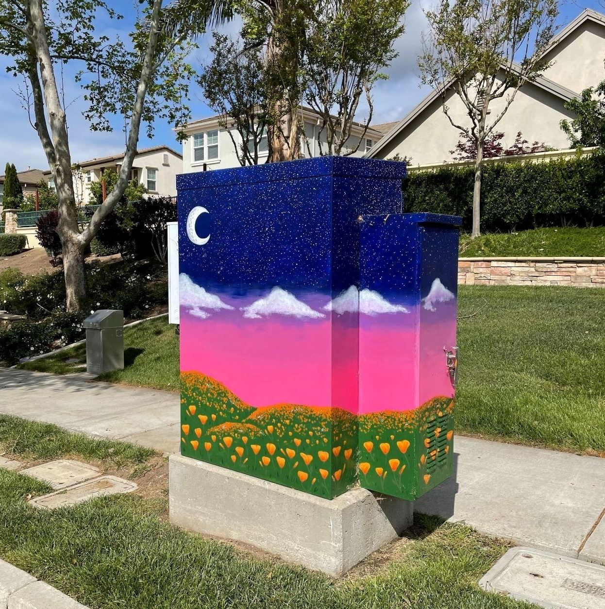 Dublin Nights, by Jeri Martens. 2