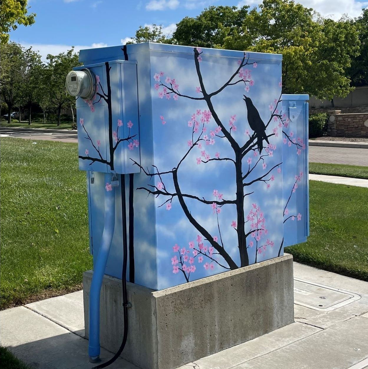 Spring Raven, by Rhonda Chase. 1