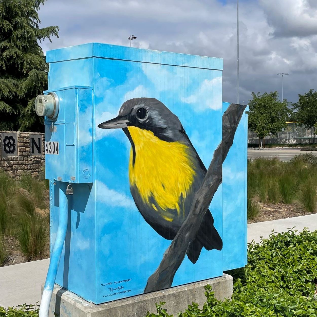 Common Yellowthroat and Black-headed Grosbeak, by Talavera Ballon. 2021