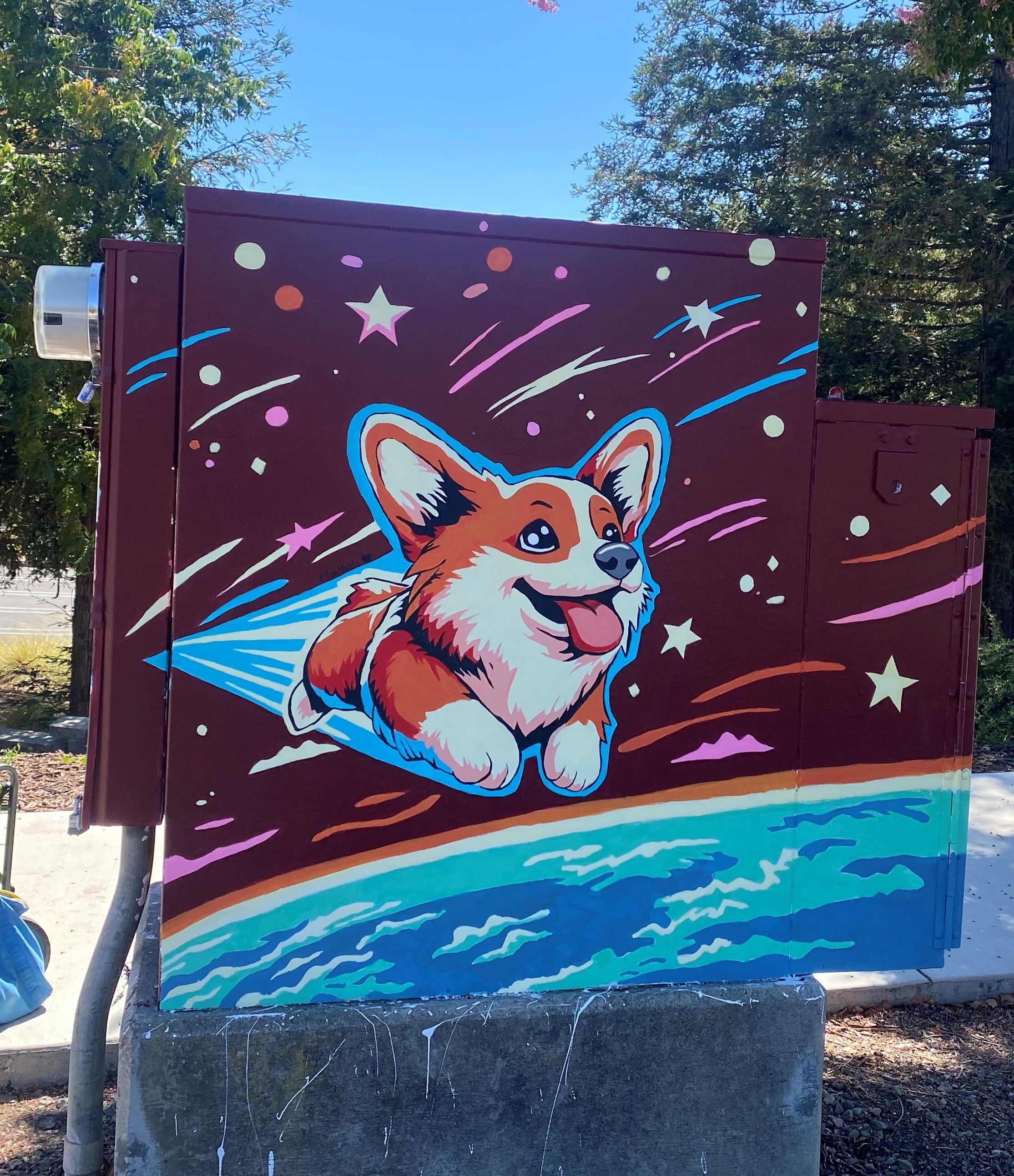 Angela Wang Cosmic Corgi