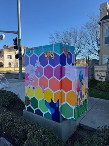 Box 5 Sophie Lee Daydream and Wander