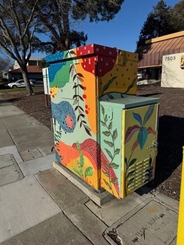 Box 10 Swati Rastogi Nature Its Colors and Shapes